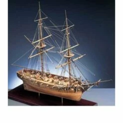 Maquette Bateau Hms Cruiser